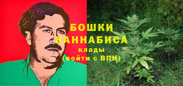 PSILOCYBIN Приозерск