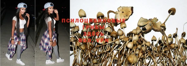 прущая мука Пролетарск