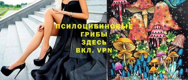 круглые Покачи