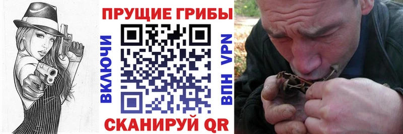 Купить  Тихорецк  Псилоцибиновые грибы Psilocybine cubensis 